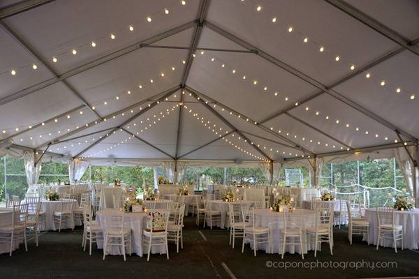 Backyard Wedding