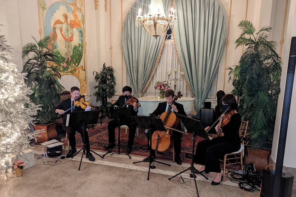 String Quartet