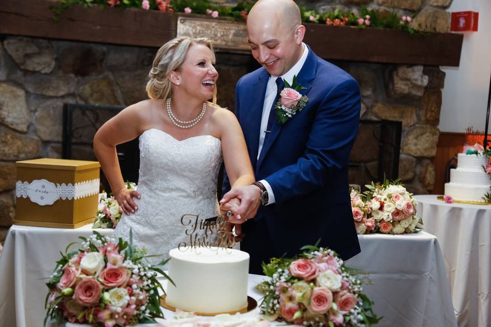 Cake Cutting