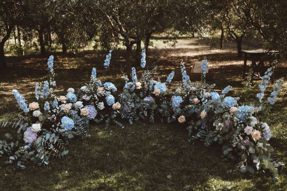 Ceremony in the olive grove