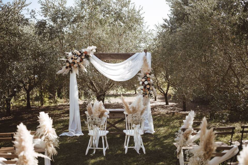 Ceremony in the olive grove