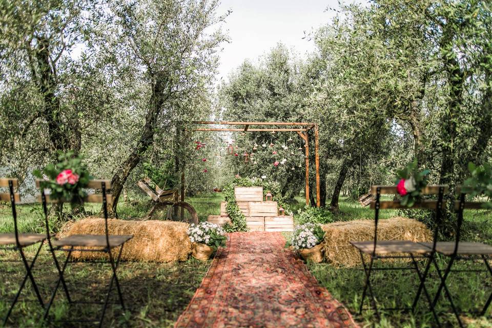 Ceremony in the Olive Groove