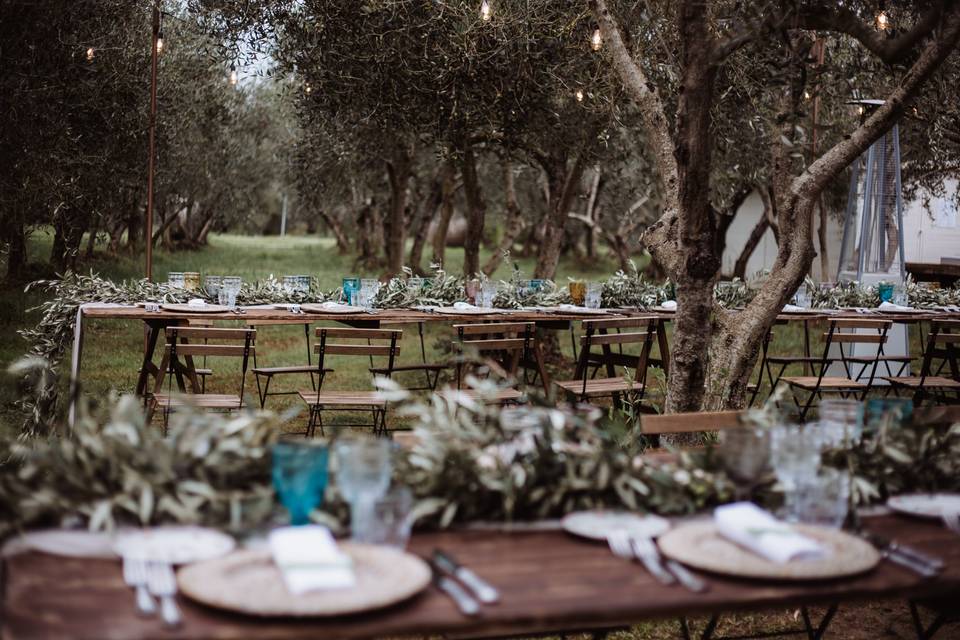 Reception in the olive grove