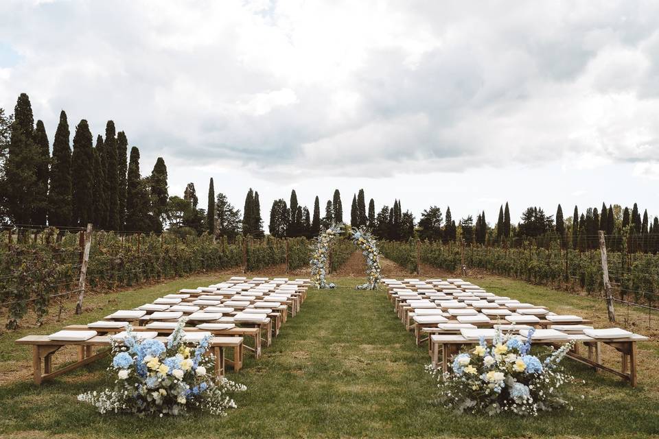 Ceremony in vineyard