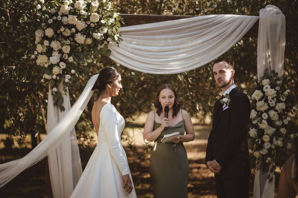 Ceremony in the olive grove