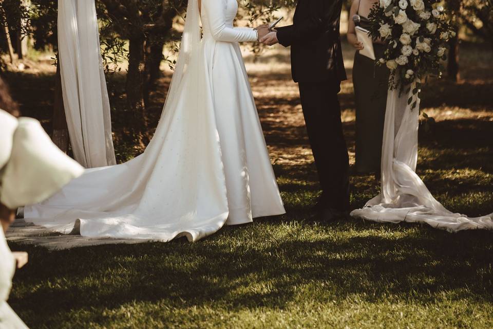 Ceremony in the olive grove