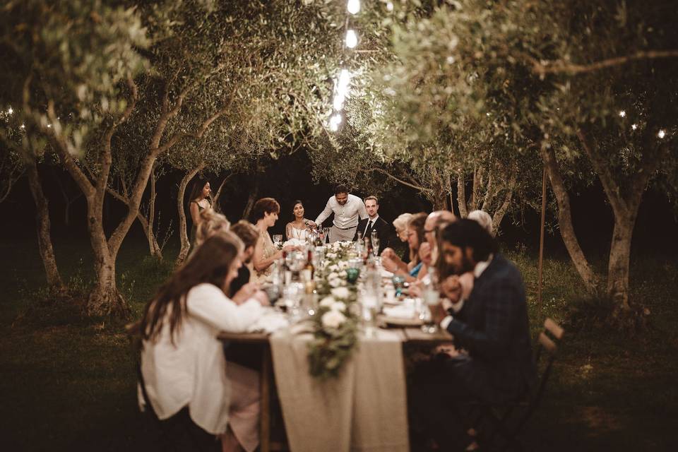 Dinner in the olive grove