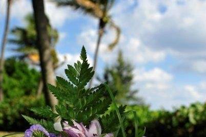 Bouquet of flower
