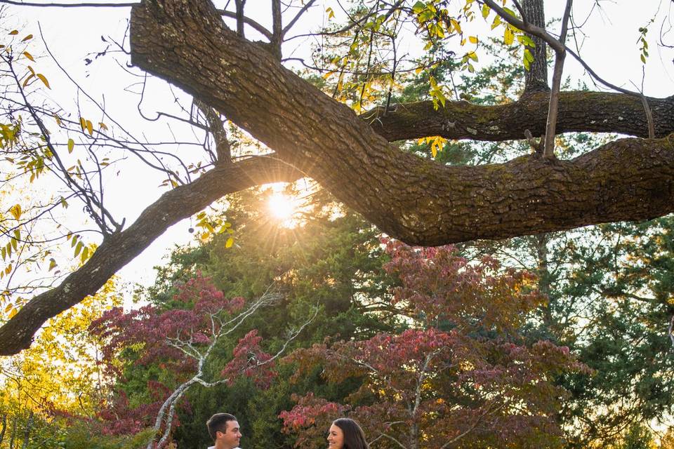 Megan & Tim's Engagement Shoot