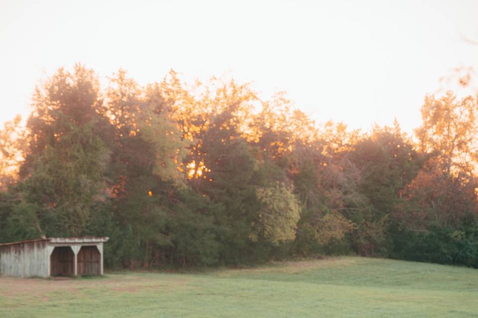 Megan & Tim's Engagement Shoot