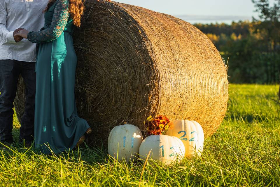 Megan & Tim's Engagement Shoot