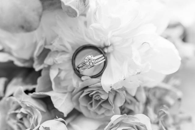 Shannon VanDyke Photography