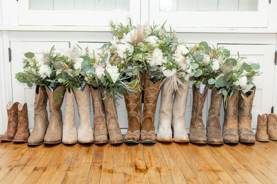 Shannon VanDyke Photography