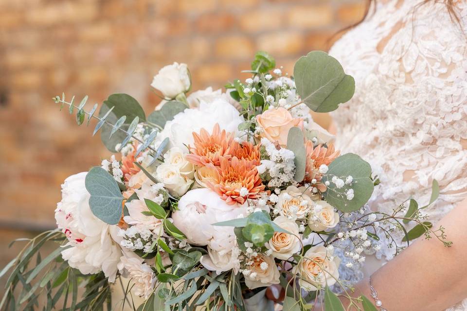 Shannon VanDyke Photography