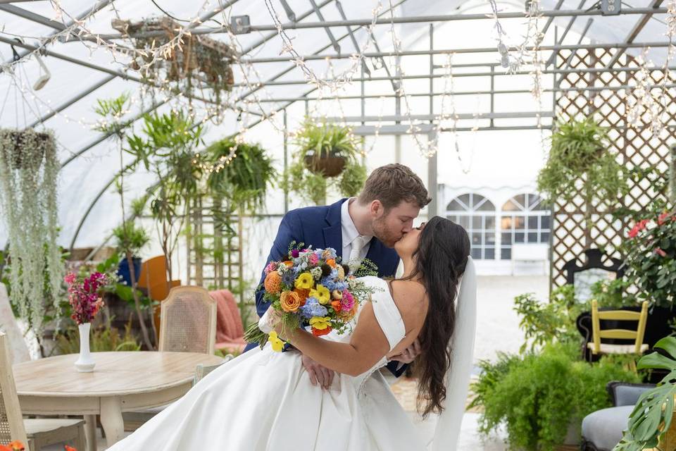 Shannon VanDyke Photography