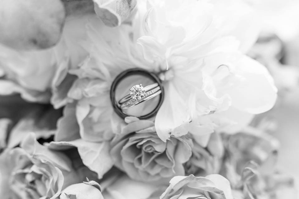Shannon VanDyke Photography