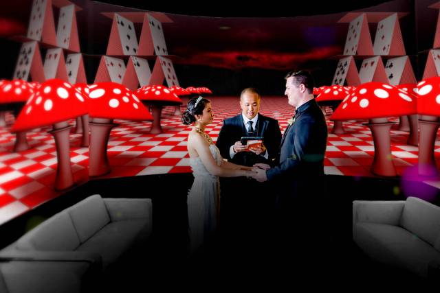 Las Vegas Immersive Weddings