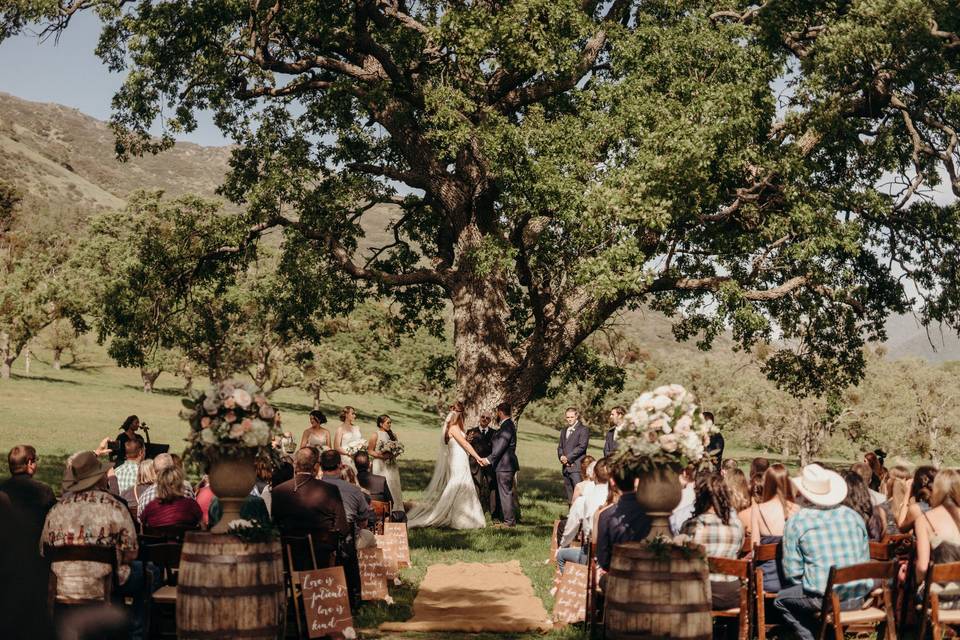 Ceremony under oak trees