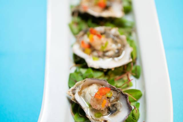 Rainbow Oysters