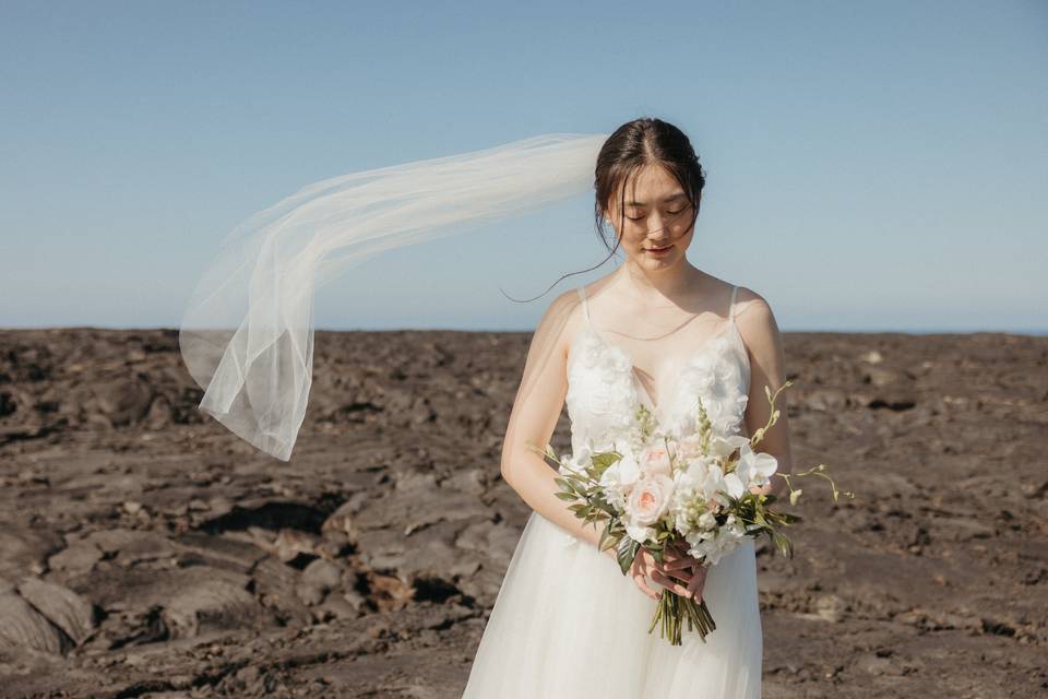 Bridal portraits - Melinda Burgess Photography