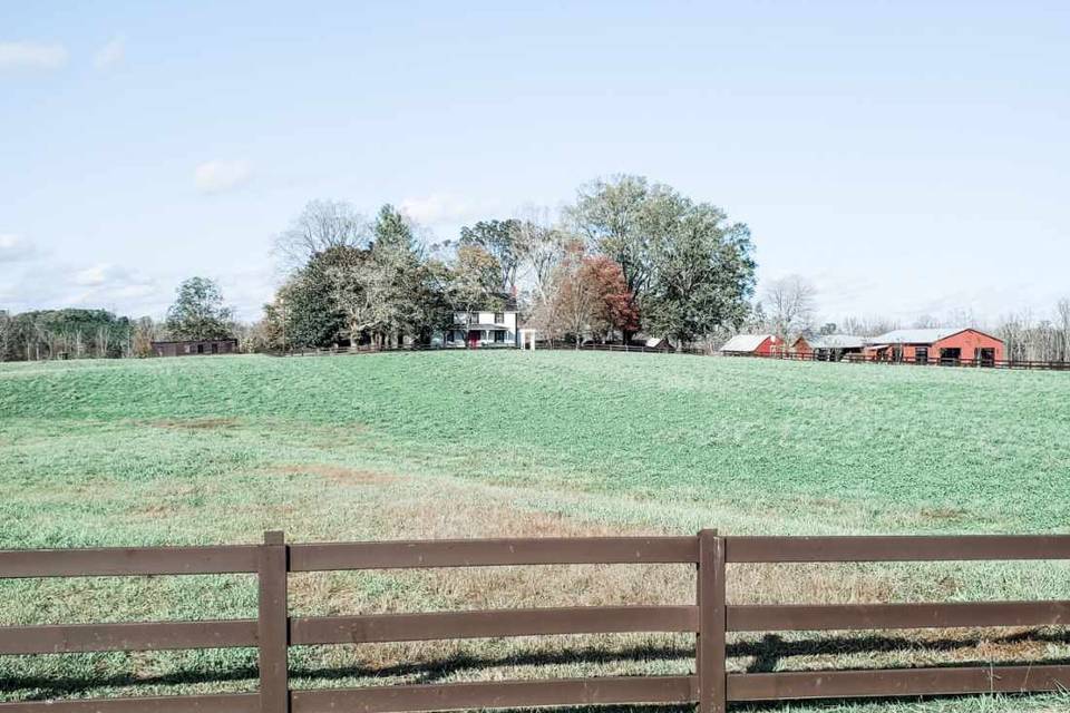 Endless greenery