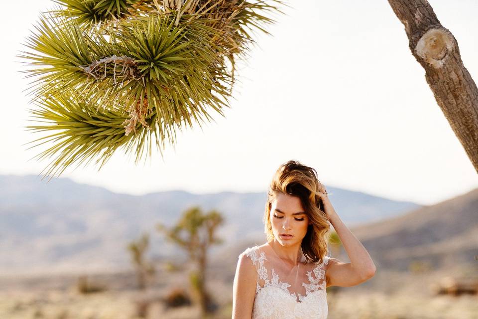 Lace and Bustle Bridal