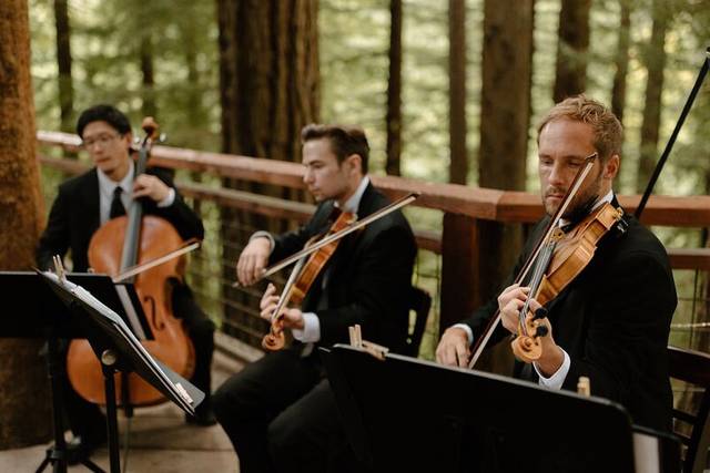 Central Coast Strings