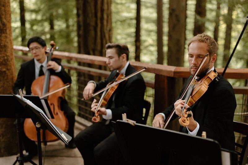Central Coast Strings