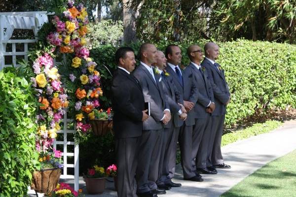 Dream Wedding Officiant