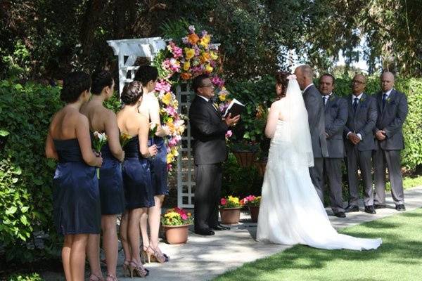 Dream Wedding Officiant