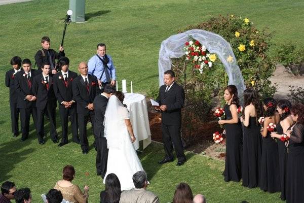 Dream Wedding Officiant