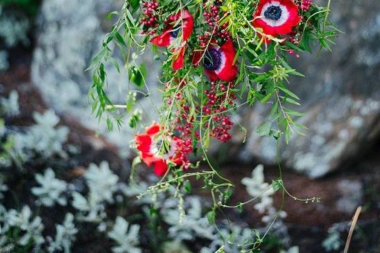 Red flowers