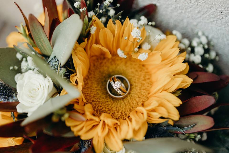 Beautiful sunflowers