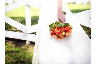 Meg Cooper Photography
