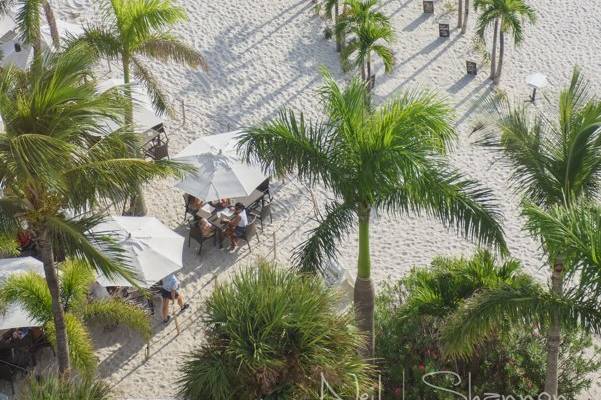 Aerial Beach Ceremony