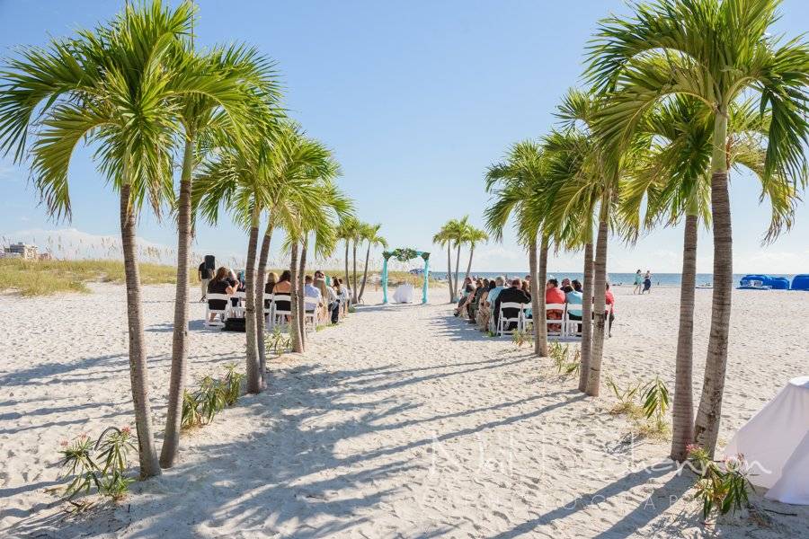 Palm Tree Lined Beach Ceremony