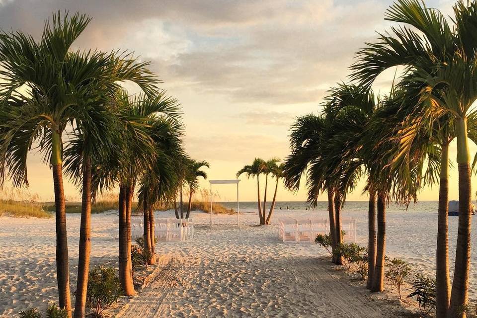 Palm Lined Ceremony Site