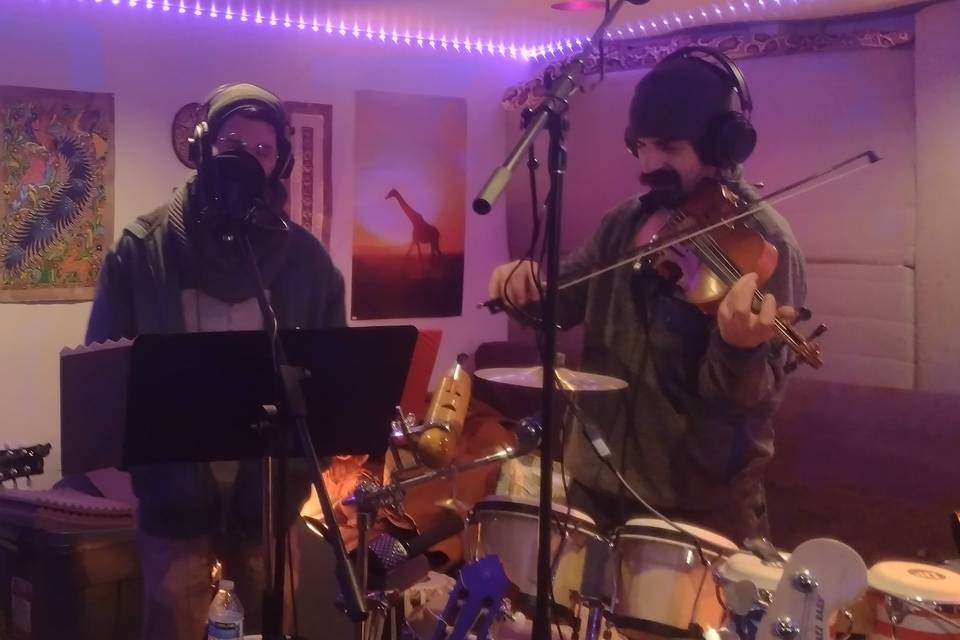 Matt on fiddle