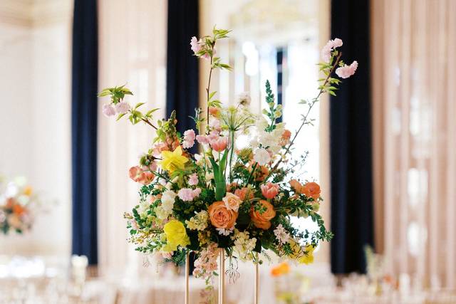 MAC - @ashncarrington