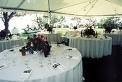Table set up