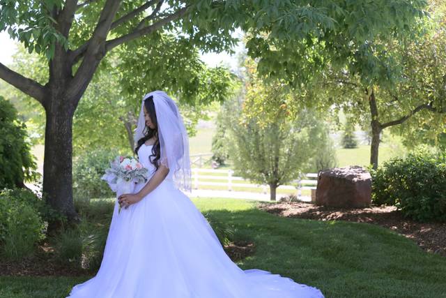 Dreamhigh Photography, LLC.