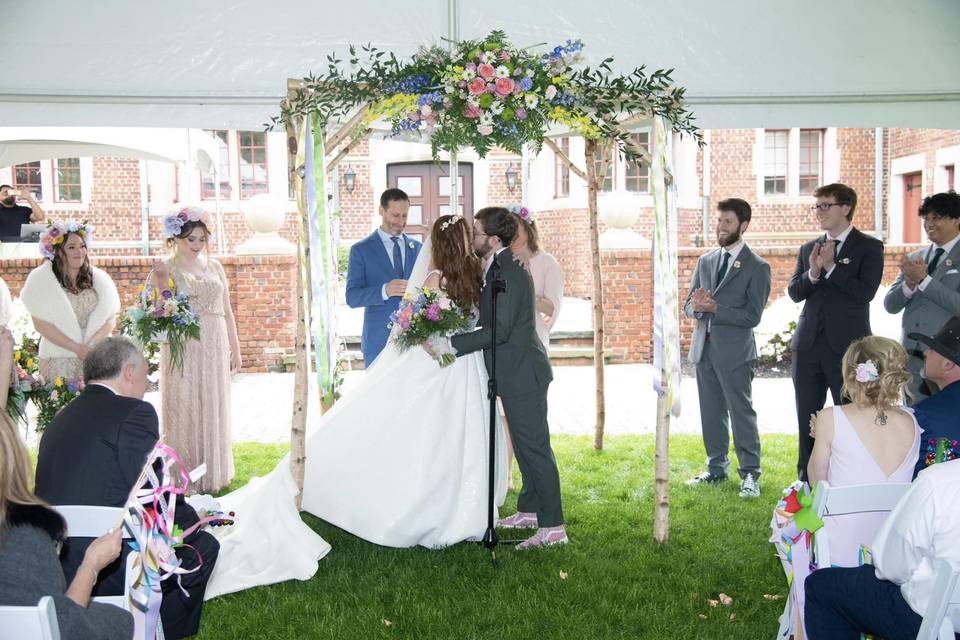 Birch Chuppah