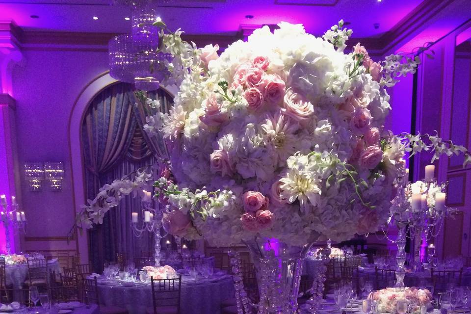 Marquis Florals & Event Design