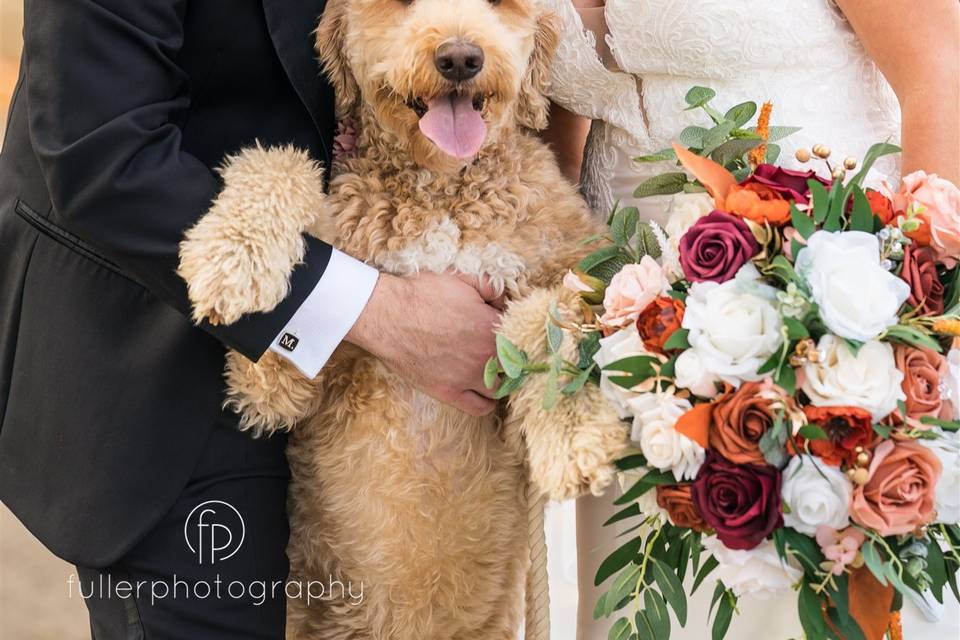 Furry bridal party permitted