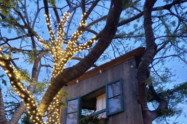 Bridal treehouse