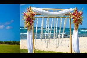 Maile Weddings and Events