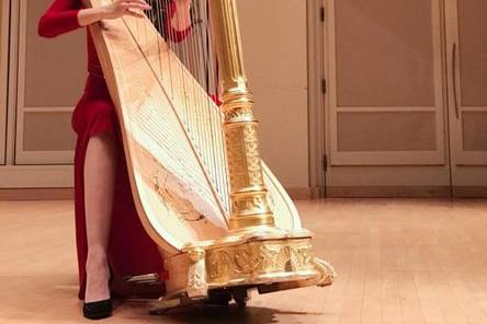 Harpist - Beste Toparlak