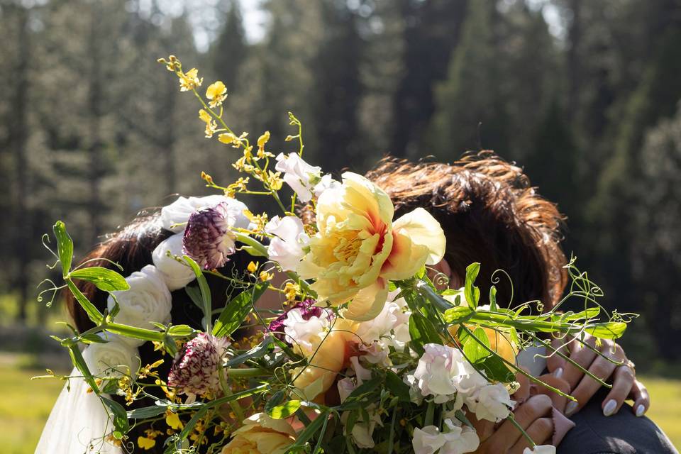 Bride & Groom Portraits