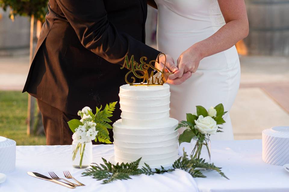 Cake Cutting