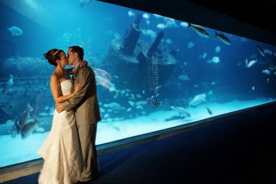 North Carolina Aquarium at Pine Knoll Shores